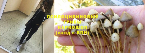 PSILOCYBIN Бронницы